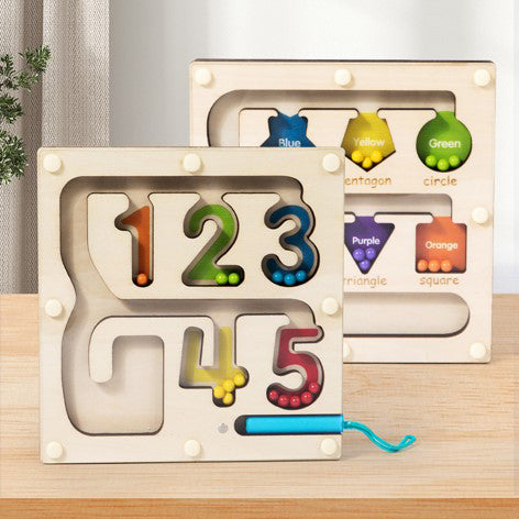 XBN227-20 Double-sided Maze Travel Edition