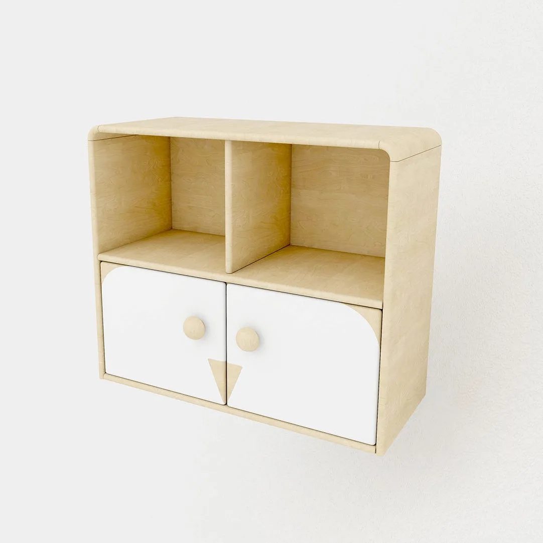 XBN142-01 Toy Storage